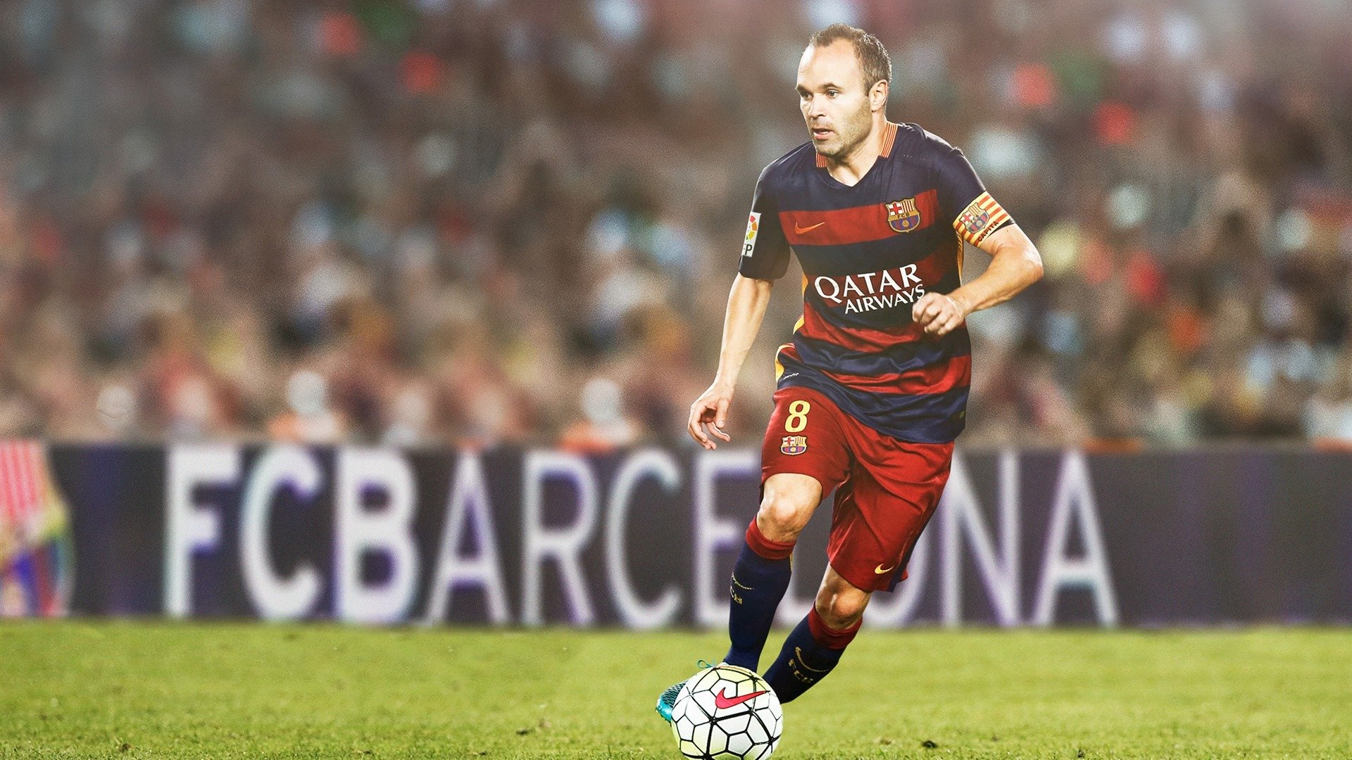 东决关键战之夜，福克斯关键制胜，国王终迎破晓时分